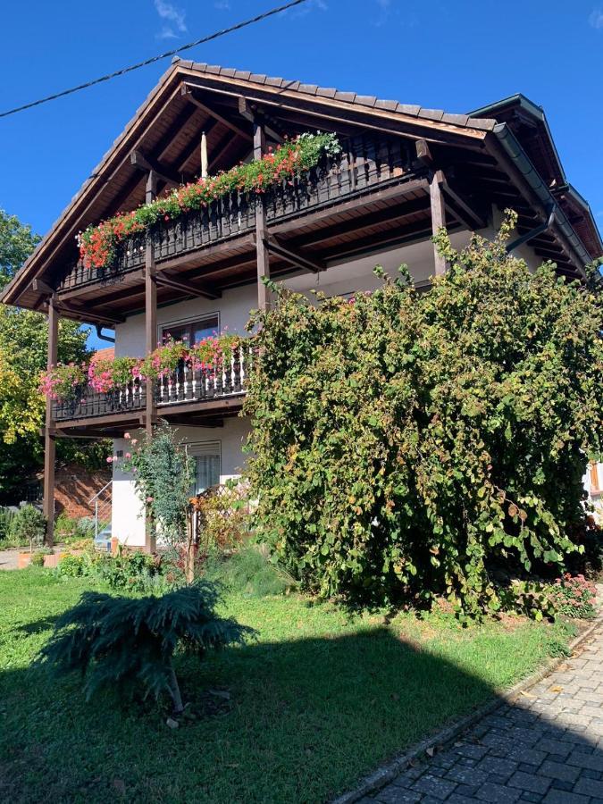 Gaestehaus Zum Rhein Rheinhausen Extérieur photo